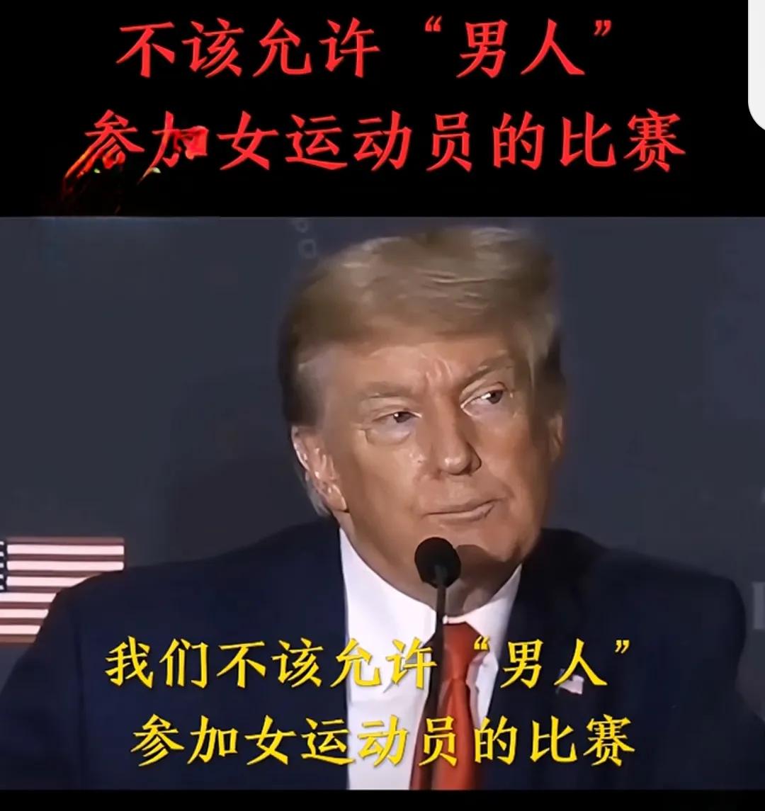 中国拳击选手杨柳对抗变性人阿尔及利亚的哈利夫，这个变性人在世界赛因性别问题被禁赛