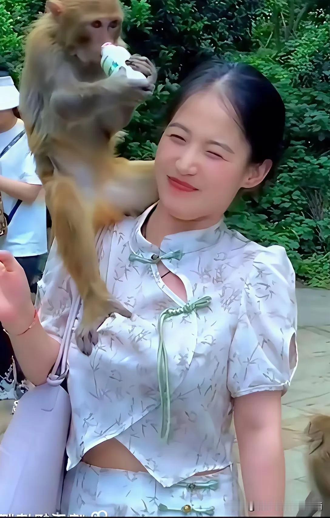 峨眉山的猴子🐵，——不正经！