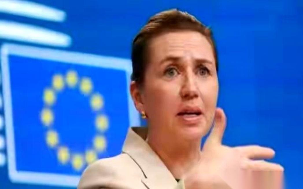 直接掀桌子了。
丹麦首相，一个女的，对着全世界放话：美国你要是敢动格陵兰岛，我们