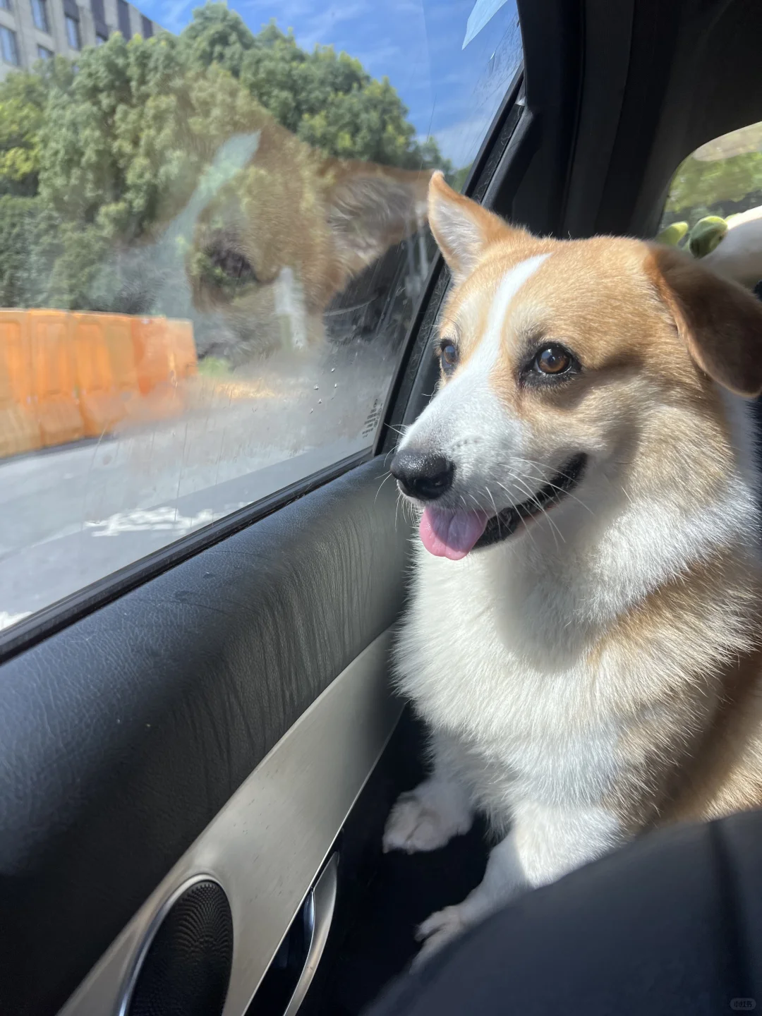 “原来站的高高的是这样！”