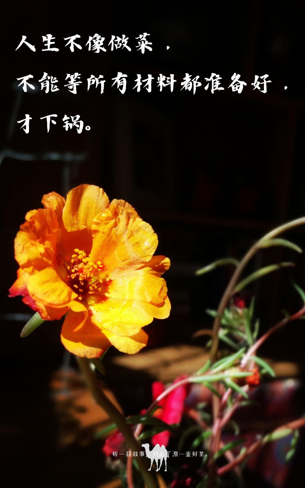 人到中年才懂：不讨好任何人，是高级的养生.
老话说"强扭的瓜不甜".
你小心翼翼