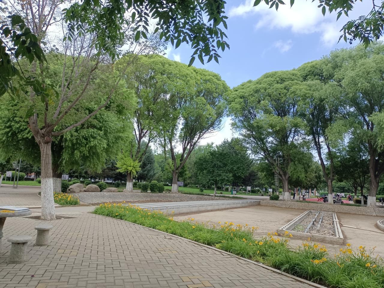 7月14日    星期五    天气    晴

家里塑料袋用完了，买点去吧。