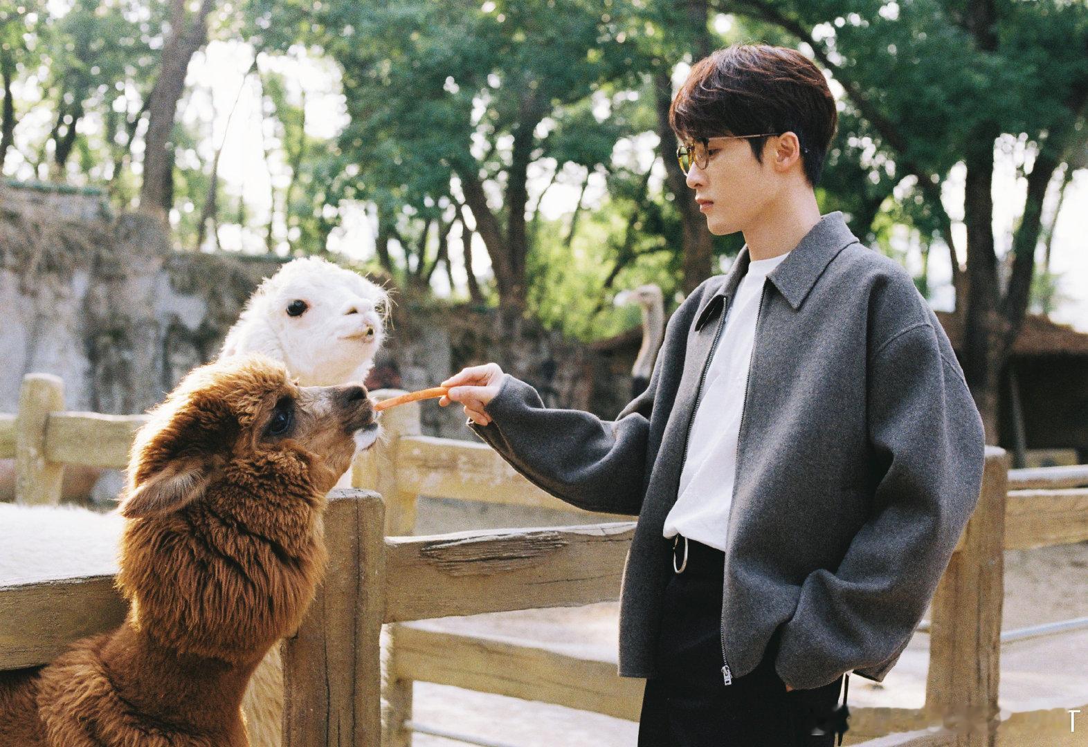 檀健次动物园look 哥哥可以也给我带一个ID咩🥺🥺哥哥你好帅🥺🥺