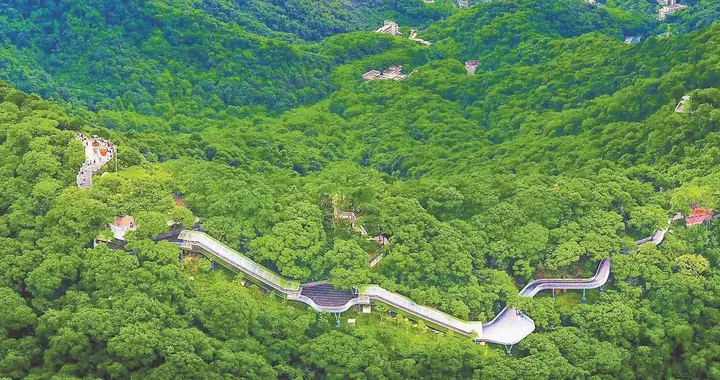 一线串三山！广州140公里森林步道下月全面竣工开放