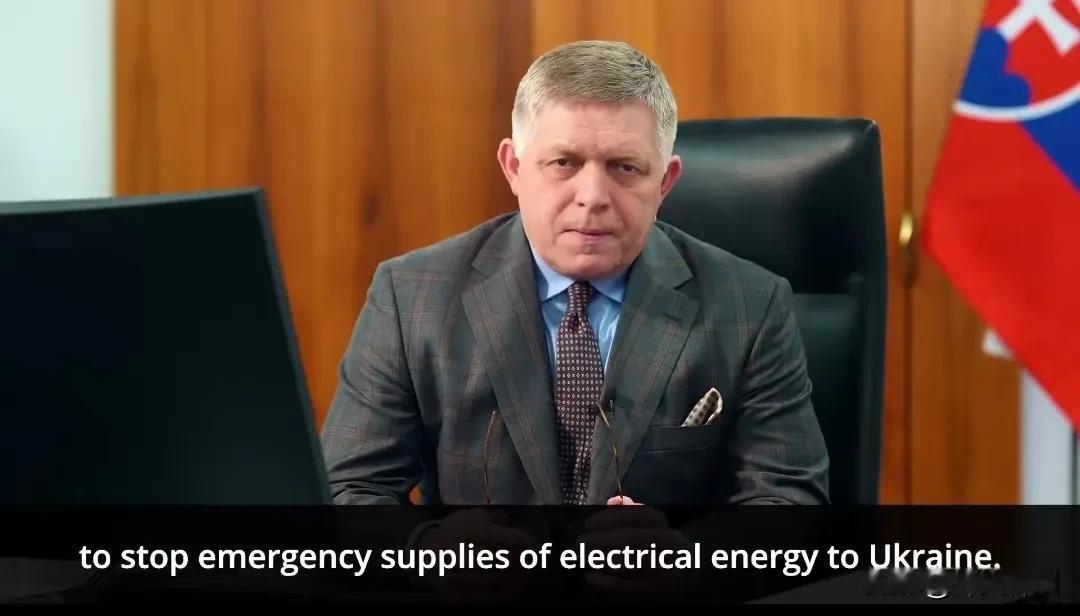 斯洛伐克总理罗伯特·菲佐今天（北京时间2月24日）发布声明：“我已兑现了周六的声