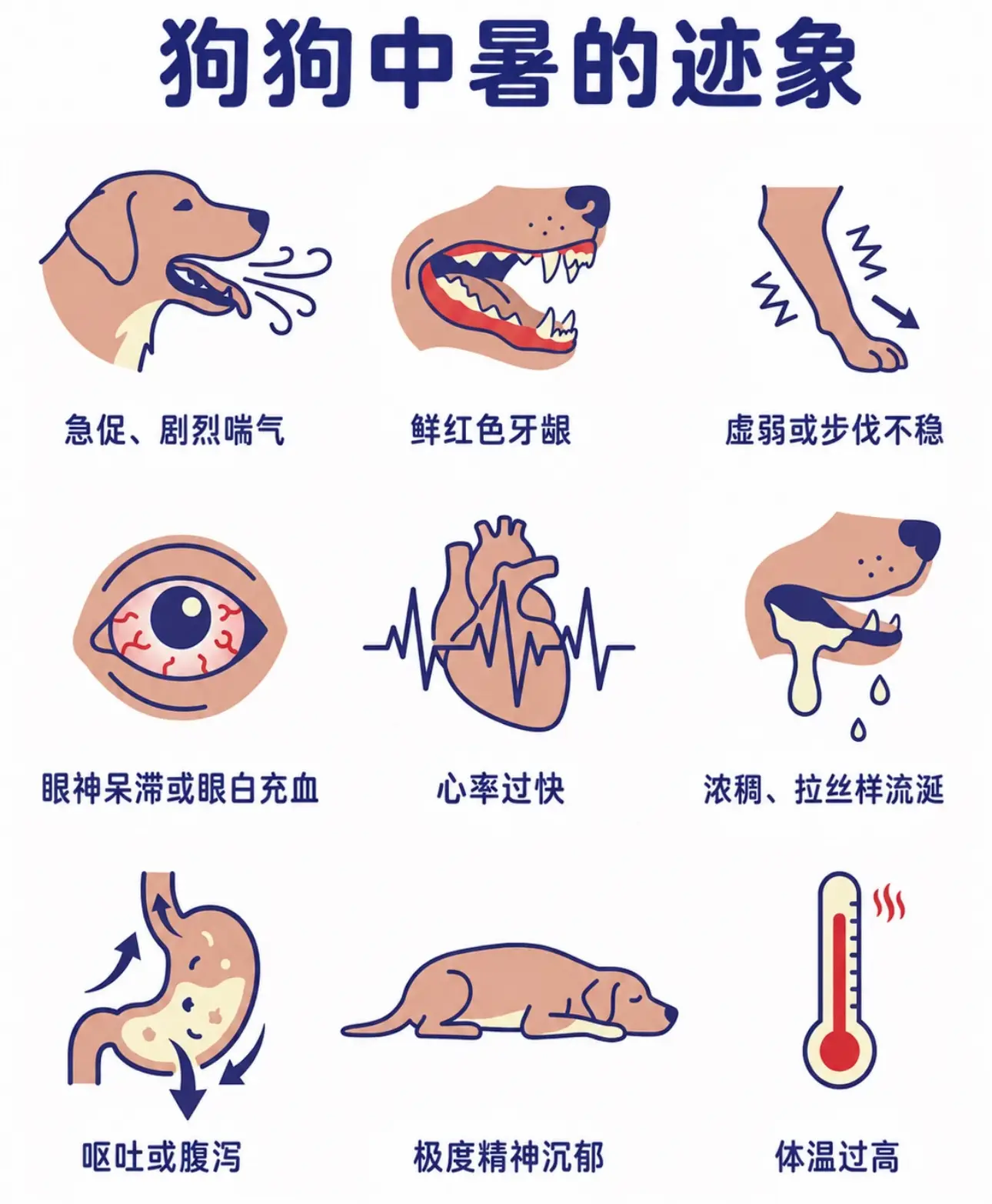 狗狗无法像人类一样出汗，只能靠喘气降温。在24℃的天气里，停在阳光下的...