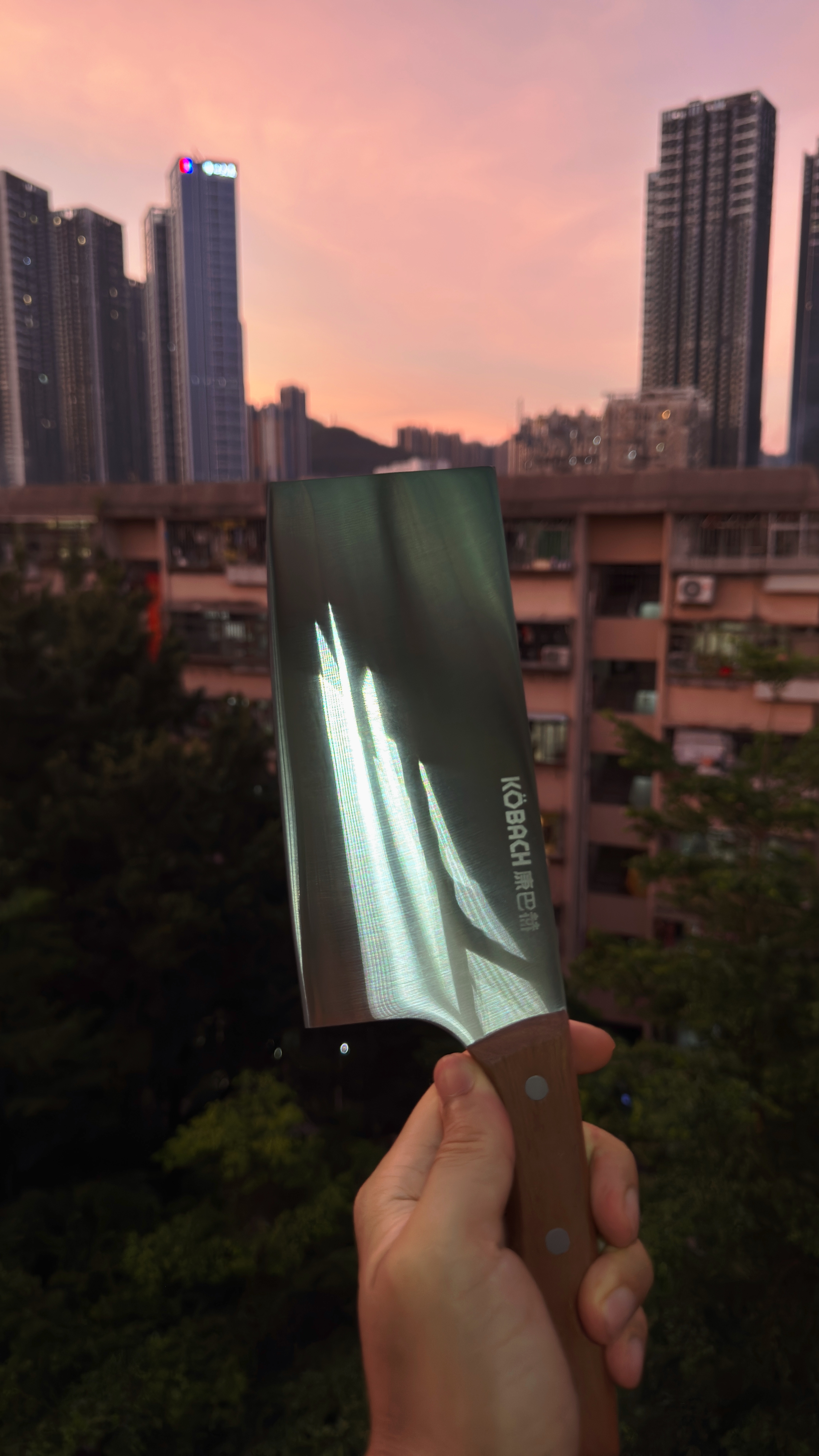 早。换新刀了朋友们！但今天不切东西。 
