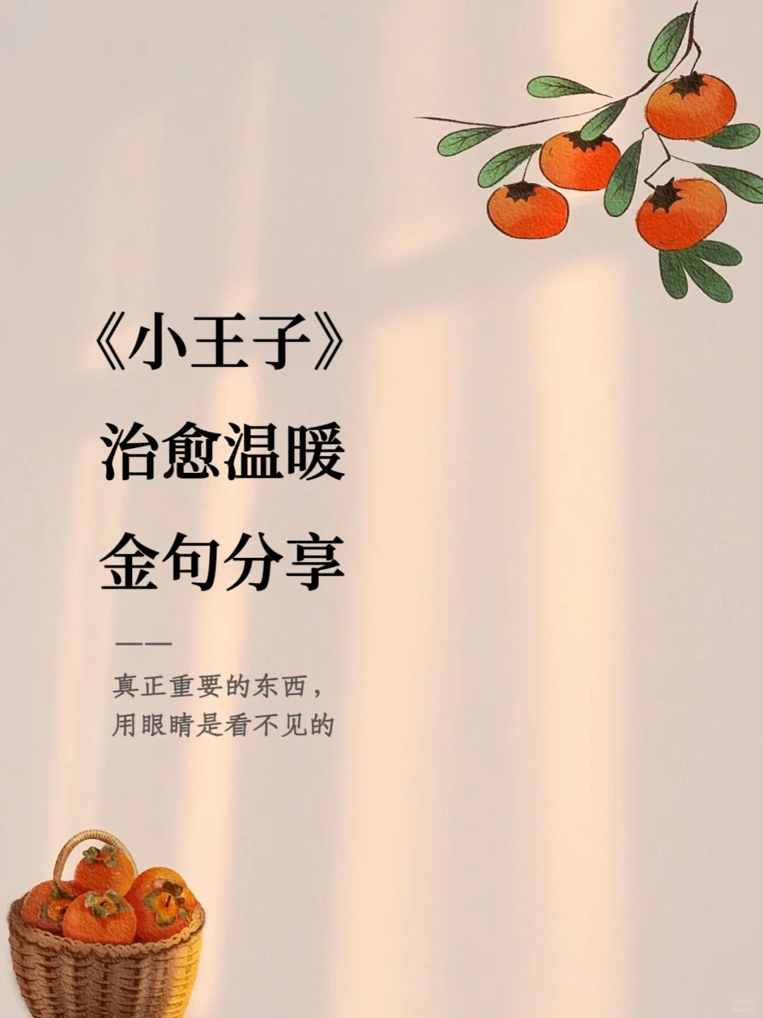 《小王子》中的玫瑰花：爱的守护与思念🌹