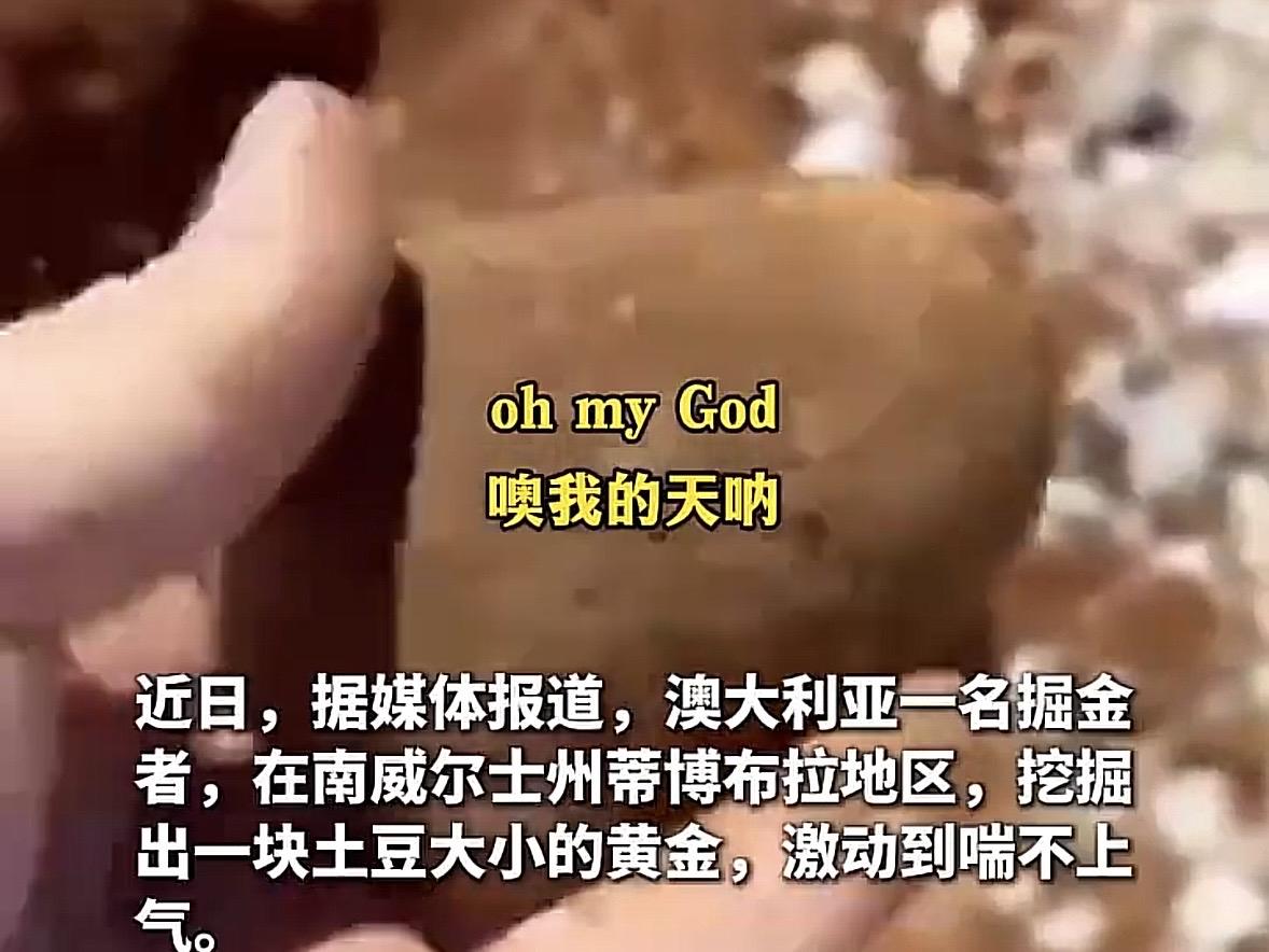 澳大利亚，一业余淘金者，在当地一盛产金矿石的荒野探矿。万万没想到，他竟在地下10