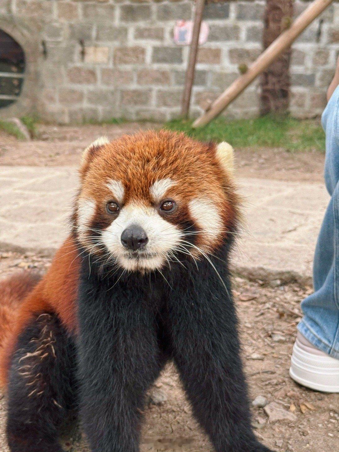 我的心肌细胞我的身体每天都在努力的运转工作，而我的大脑和脑细胞却总是被刺我的身体