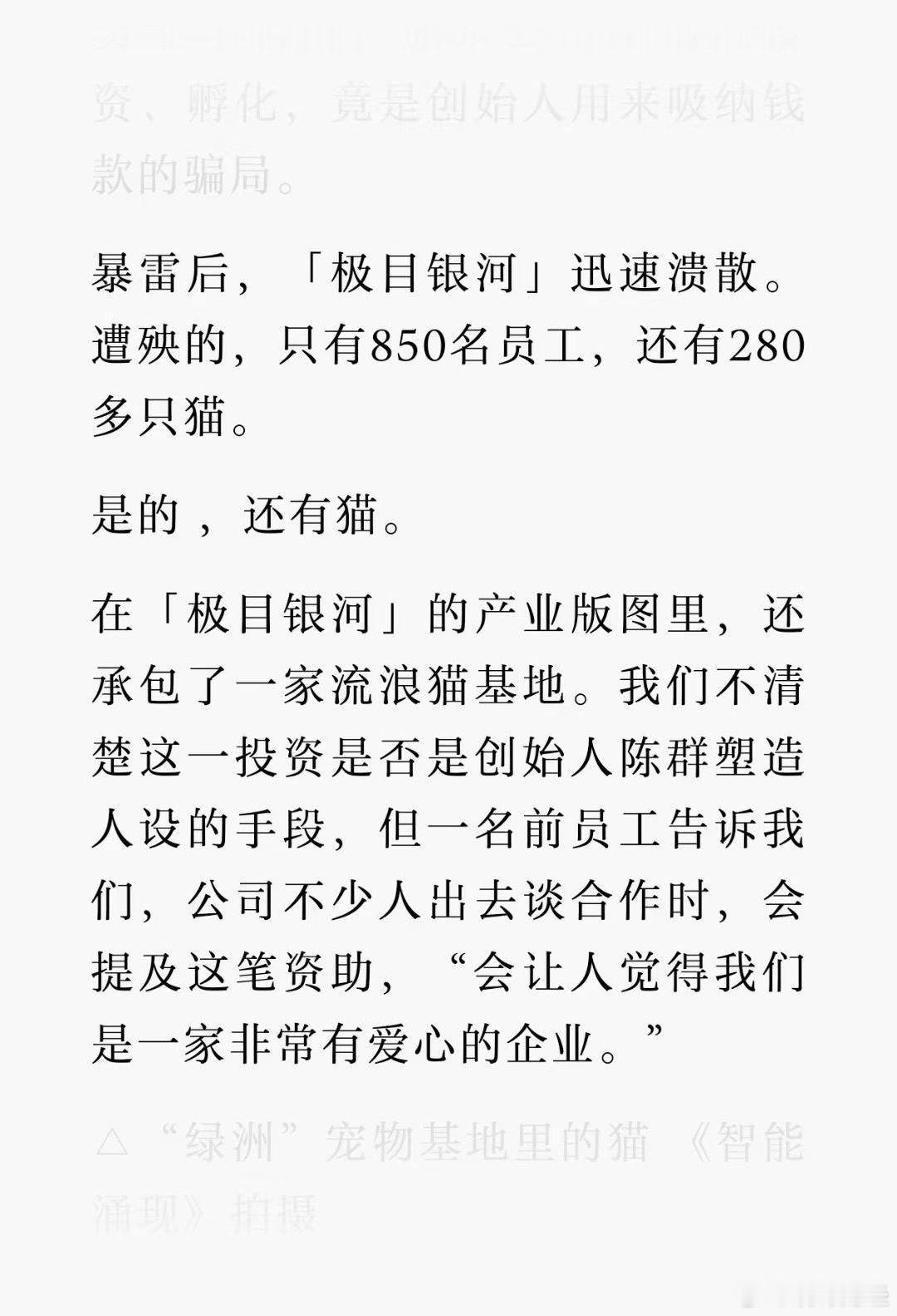 这些猫要遭殃了，猫居然占了全部员工的30% 