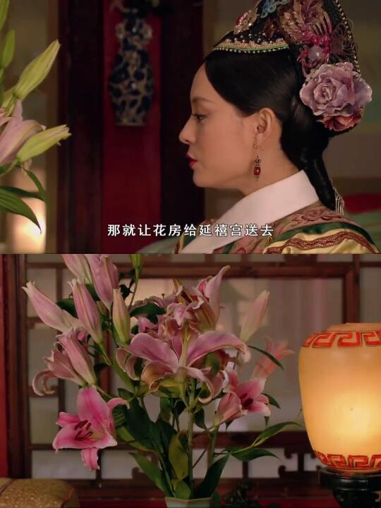 突然悟到了虎尾百合的真相～