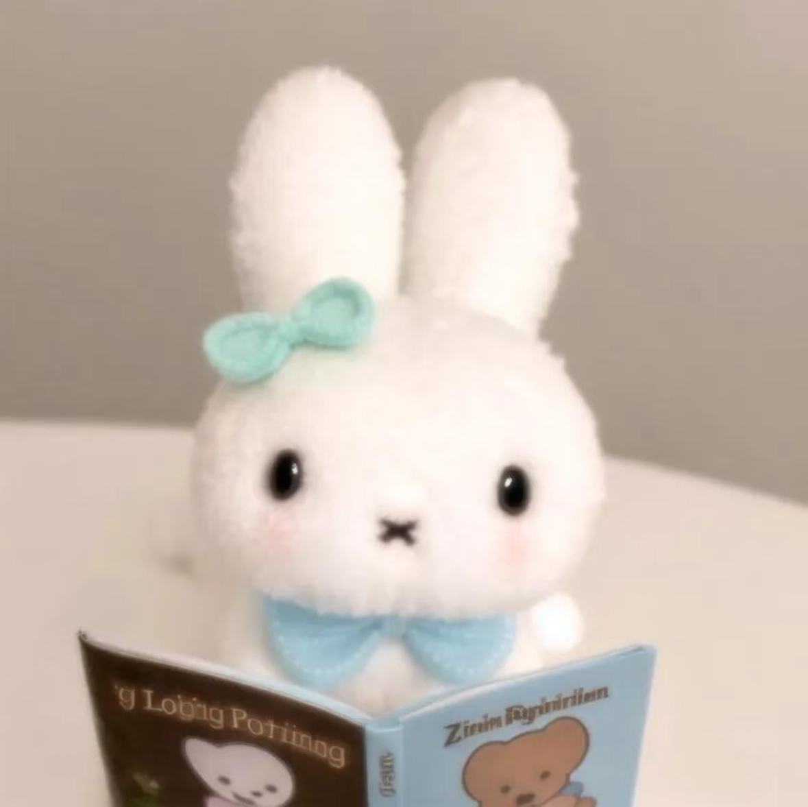 𝙼𝚒𝚏𝚏𝚢 ˶ • × • ˶ 🐰‧⁺ 💭⊹✭ ˚ ​​​