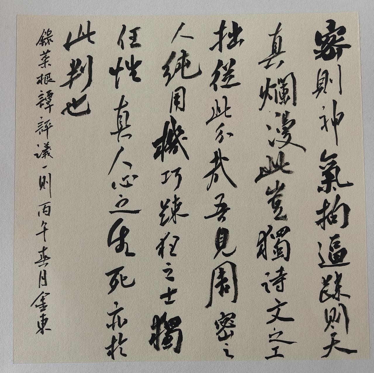 您喜欢行书吗雨斋傅金东日课，小行书菜根谭三则。