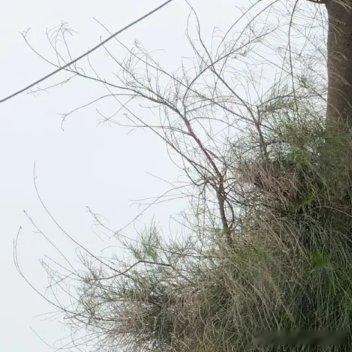 #每日一善[超话]#学会坚强，做一个对生活充满自信的人，左手记忆，右手年华，遇见