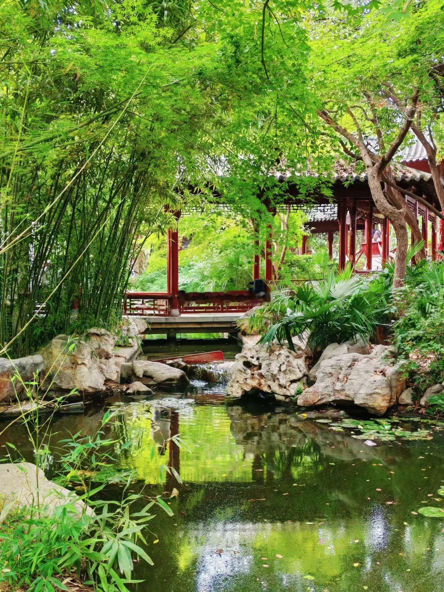 翠竹簇拥回廊，清泉绕石流淌，一池碧水盛满满眼绿意，抚平夏日所有烦闷。 