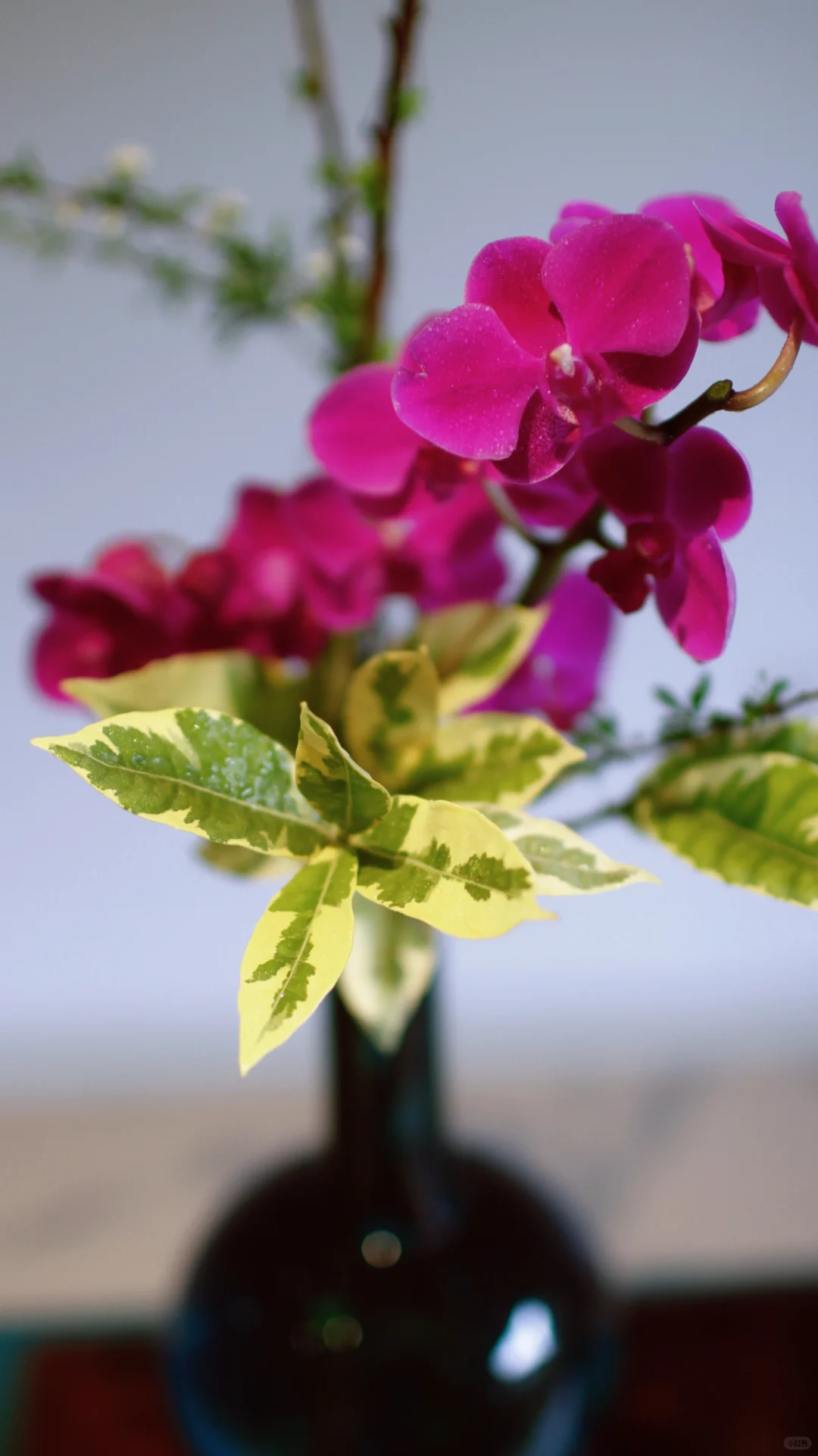 人静 物简 心安