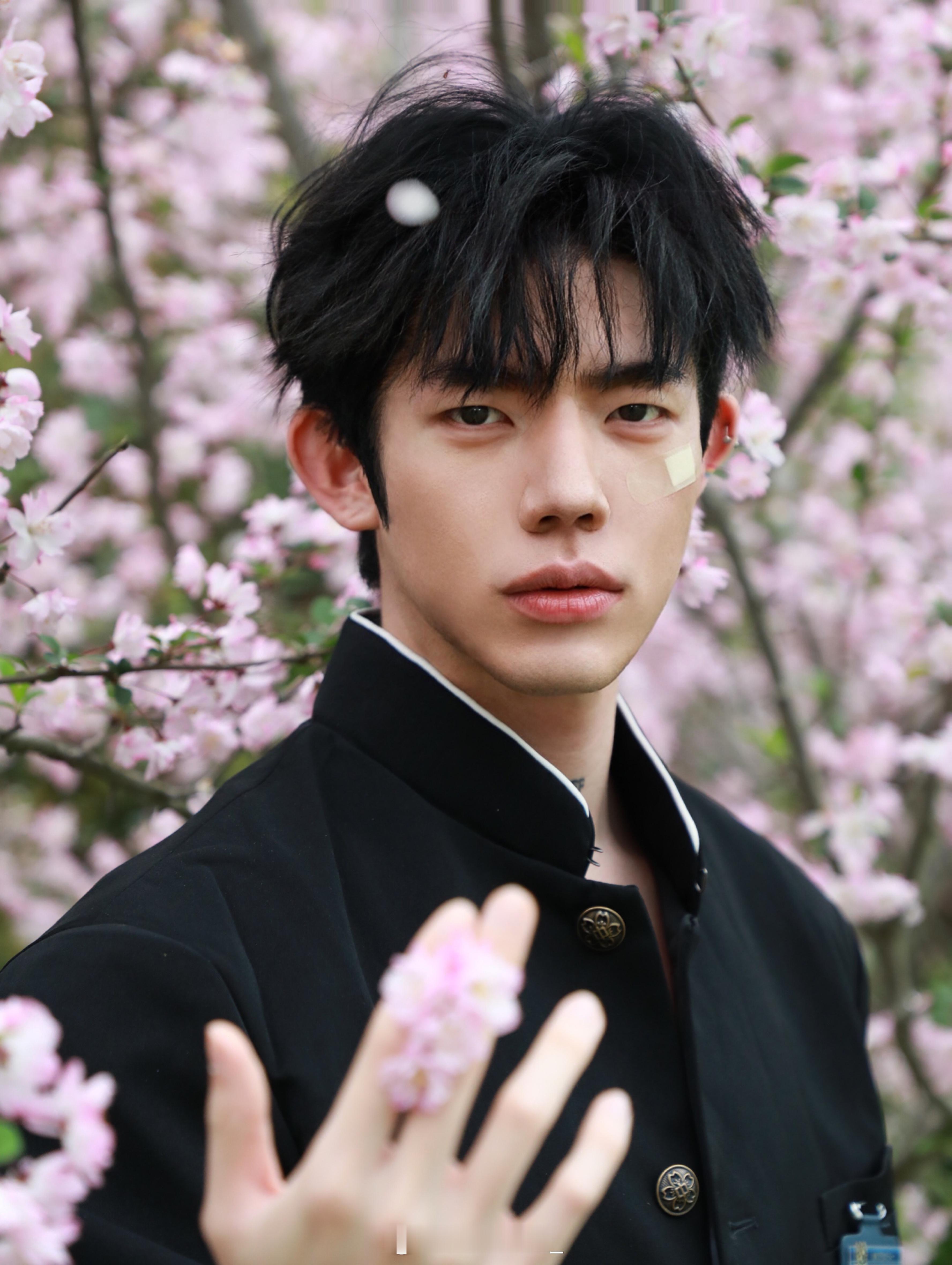 🌸 ​​​