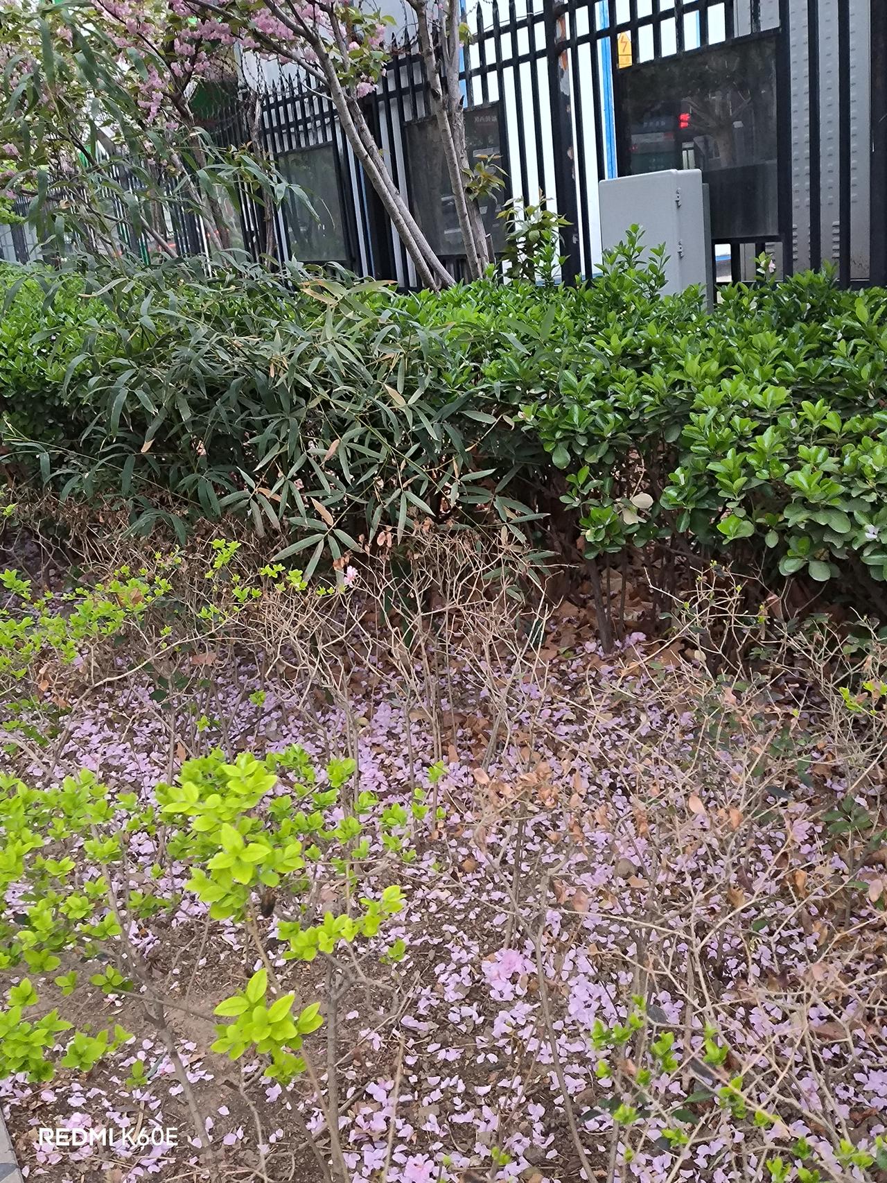 对许家印过去的荣誉，该怎么看

      昨天早晨，一辆熟悉的车从马路对面驶过