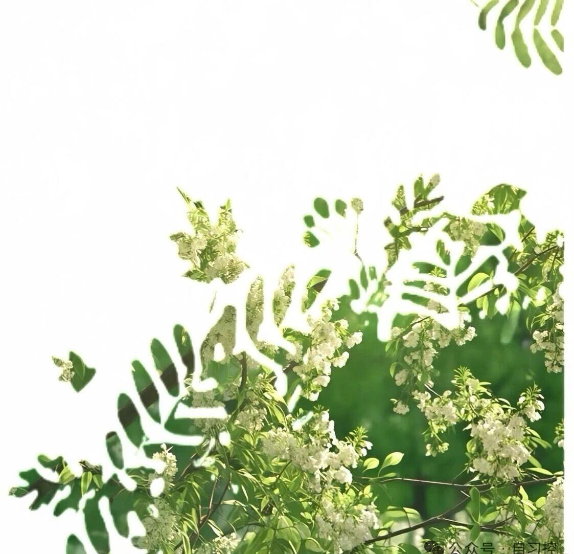 酱子贝超话
 ⋆-◌𓈒𓐍˚⋆𝟚𝟘𝟚𝟞-𝟘𝟞-𝟚𝟙₊˚𓐍𓈒