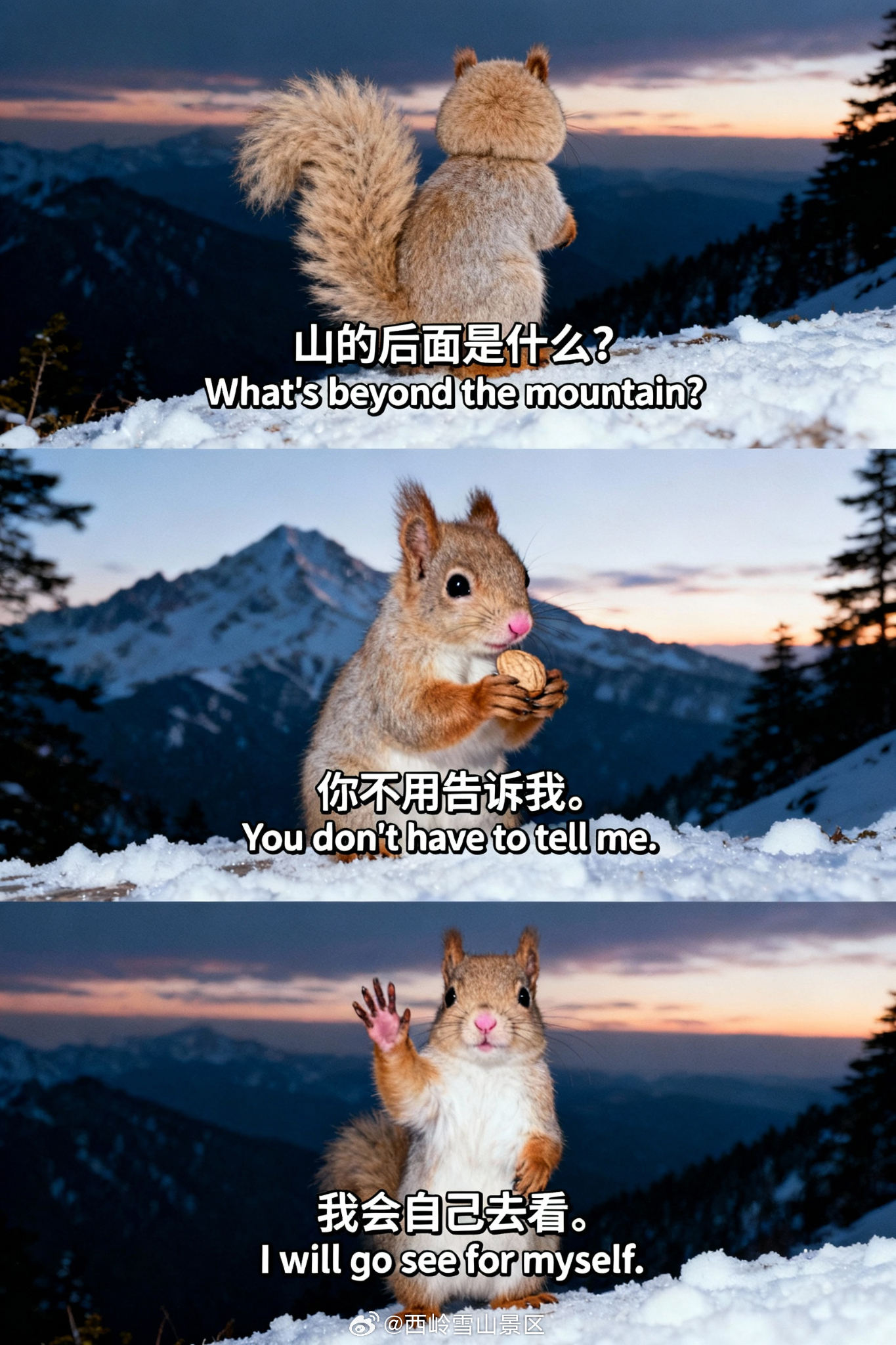 山的后面是什么？小熊猫/小松鼠：这题我超会的你不用告诉我，我会滑着雪去看#西岭雪