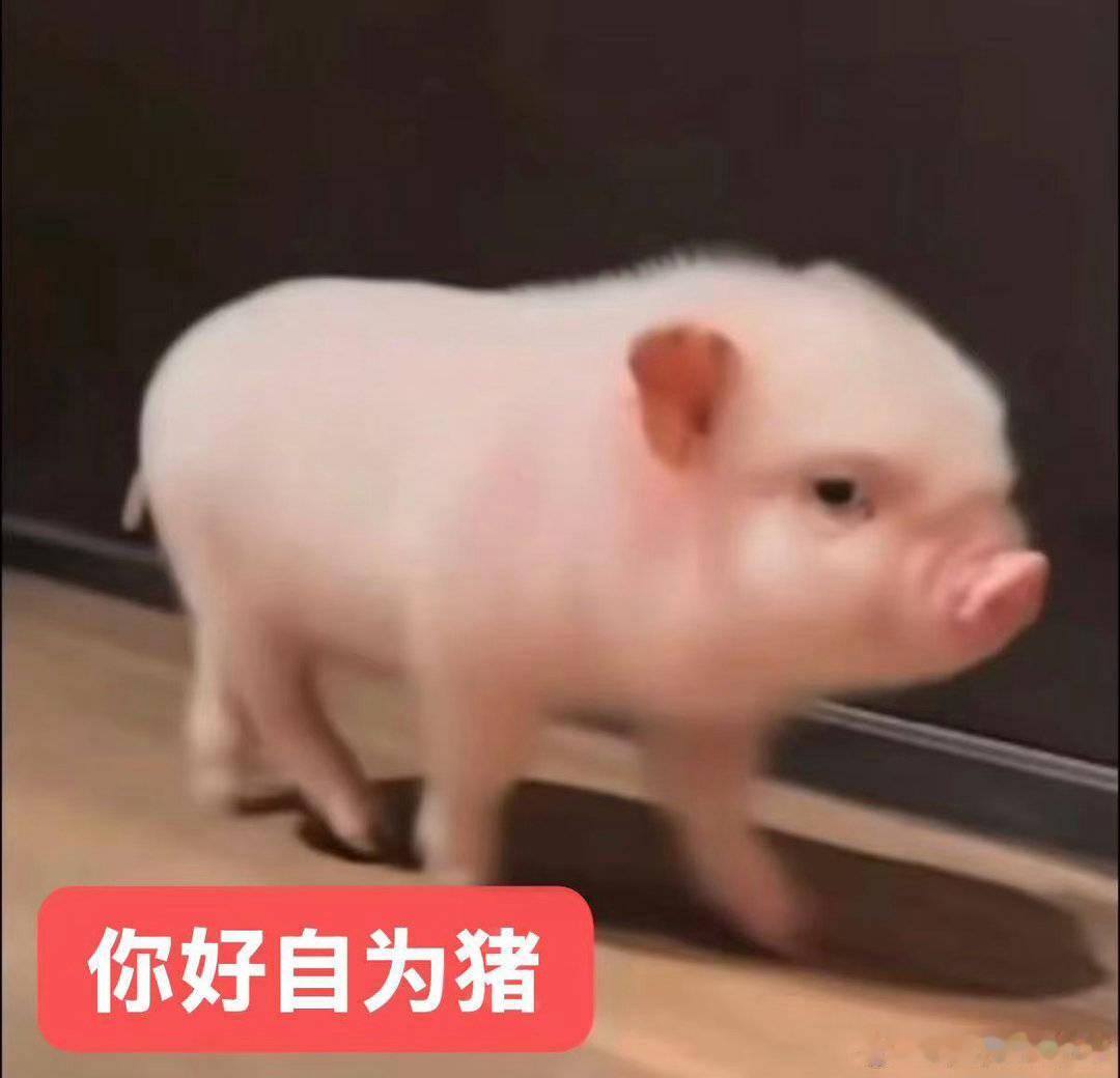 体重来到了惊人的107斤 到底谁在说我瘦了哈哈哈哈 不过胖了瘦了都是体重维持一段