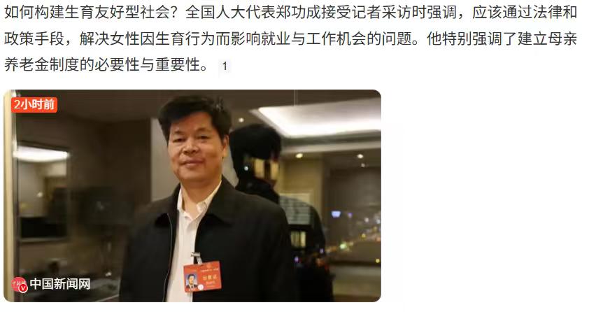 人大代表建议建立母亲养老金制度，即将婴儿养育时间（如一年或两年）作为视同缴费时间