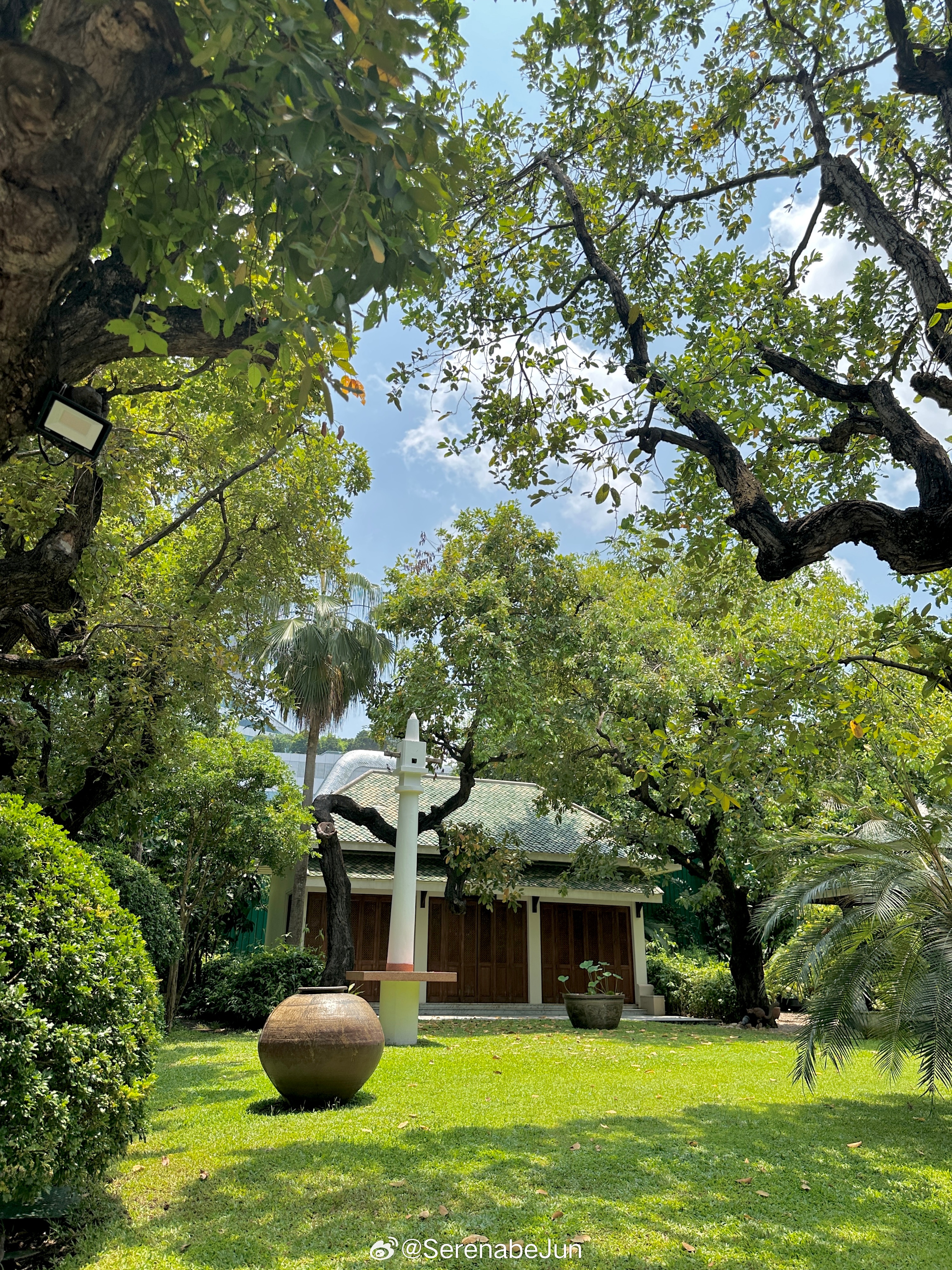 Loving March ⋆˚. 🌸🪽 