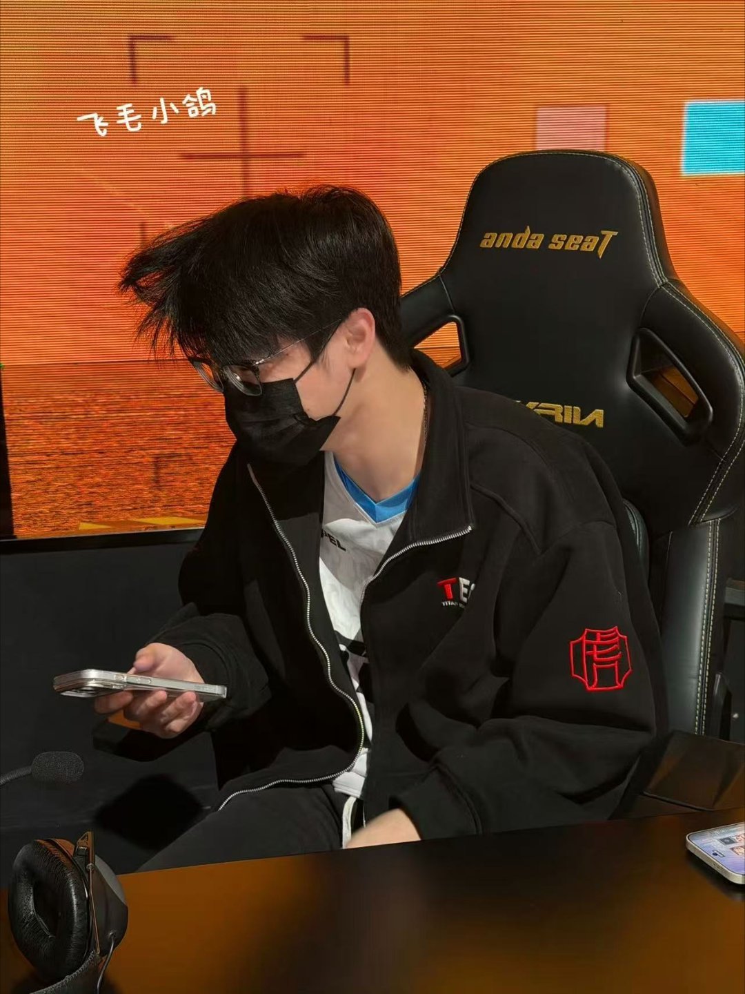 33本体跑出来了 这就是传说中的mini西装鸽吗？从画里跑出来的本体也太可爱了，