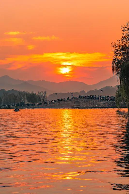 新年感悟：在变与不变中，拥抱生活的热望

新年的钟声敲响，像一只无形的手，轻轻拂