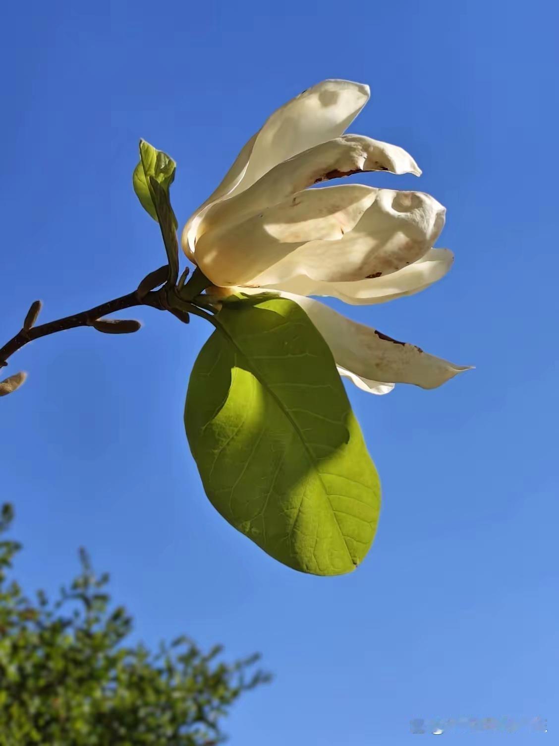 巴基斯坦空军的战斗机降落在沙特阿拉伯的机场。
你以为是军事演习，或者一次普通的访