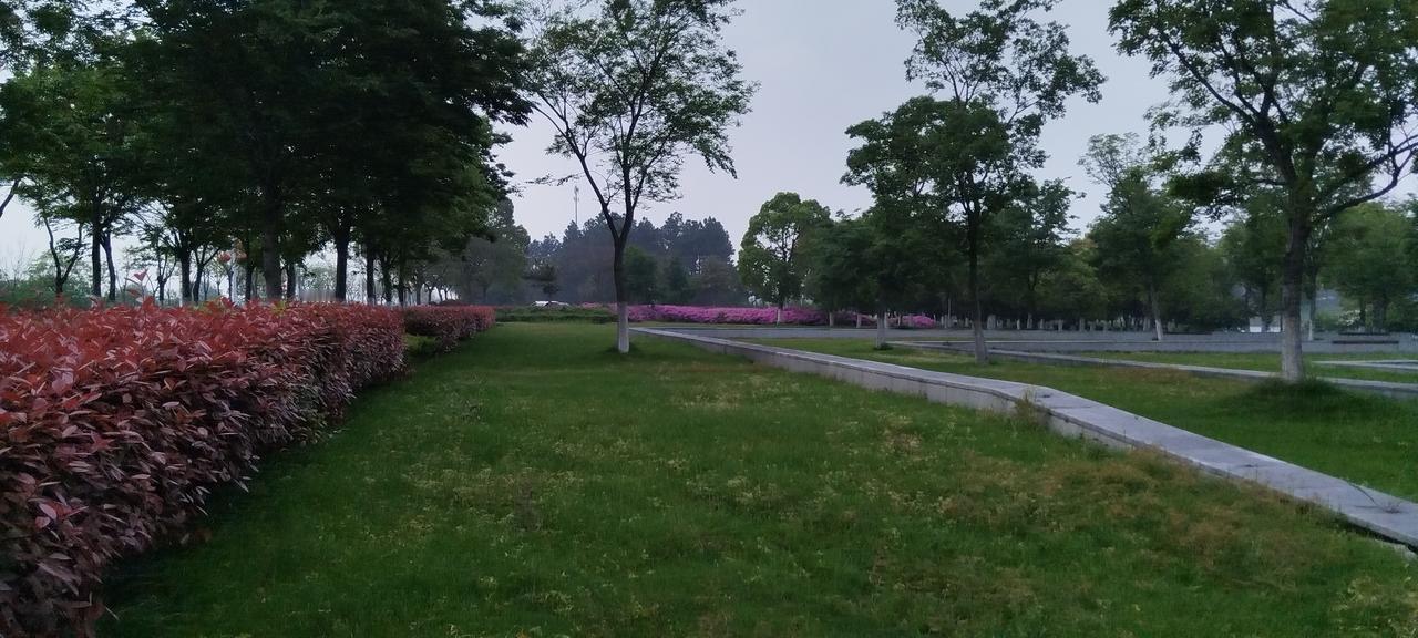 随手拍公园花草