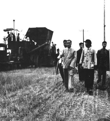 1953年6月23日，朱德在北京双桥农场视察。