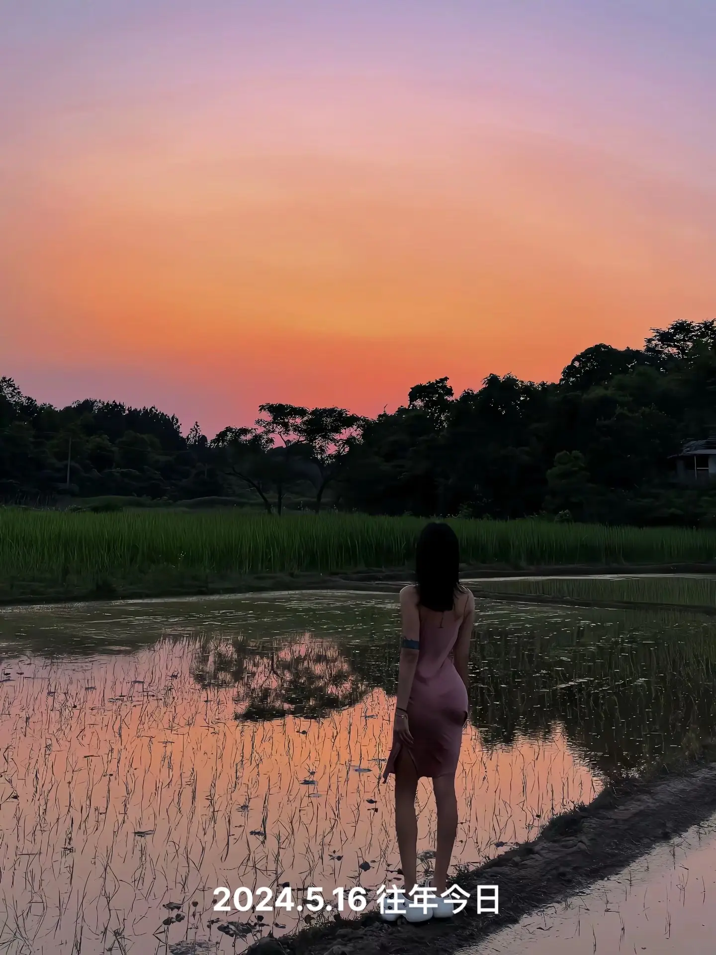 又一年过去啦