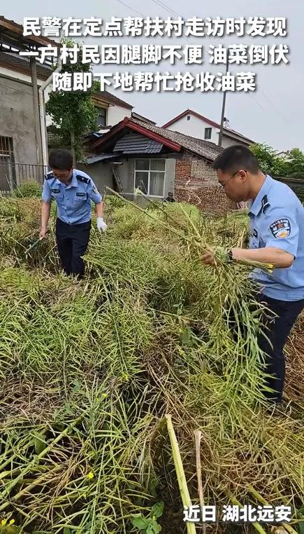 2026年5月8日上午，湖北宜昌远安县花林寺镇卫家岗村，4名身着警服的民警刚走进