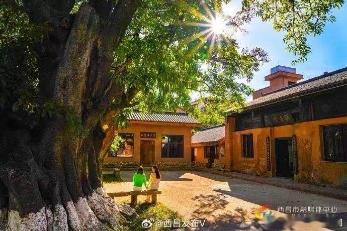 四川的宝藏古村藏不住了 成都文旅又放大招！《古村的音符》开播，五组音乐人用歌声激