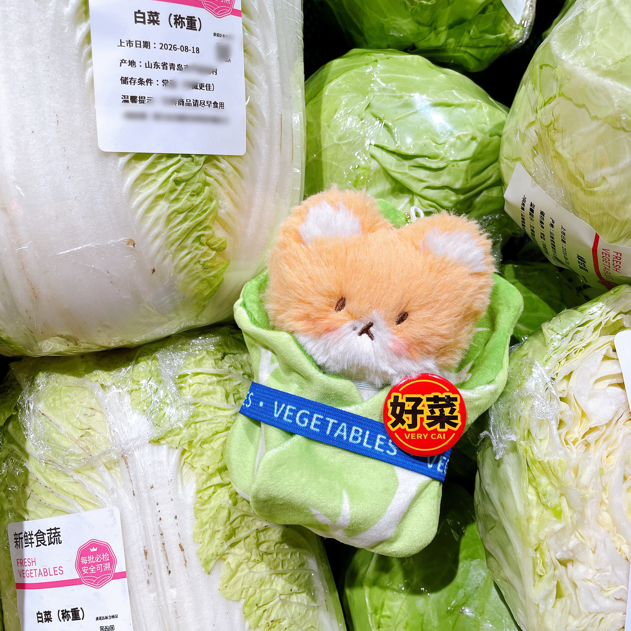 坨 今天做菜狗🥬特来骑  专栏 · 坨坨咕噜酱等