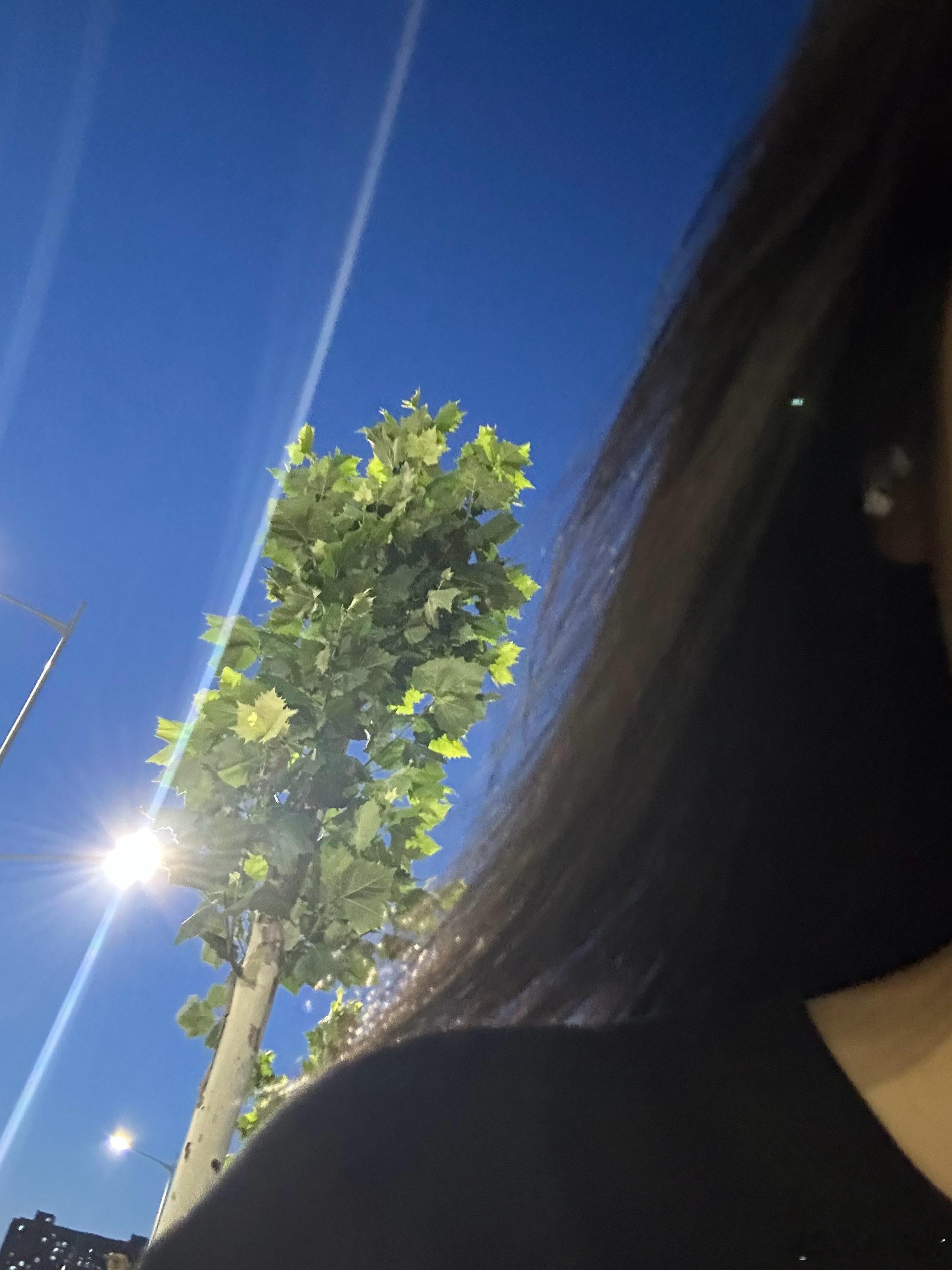晚风热热