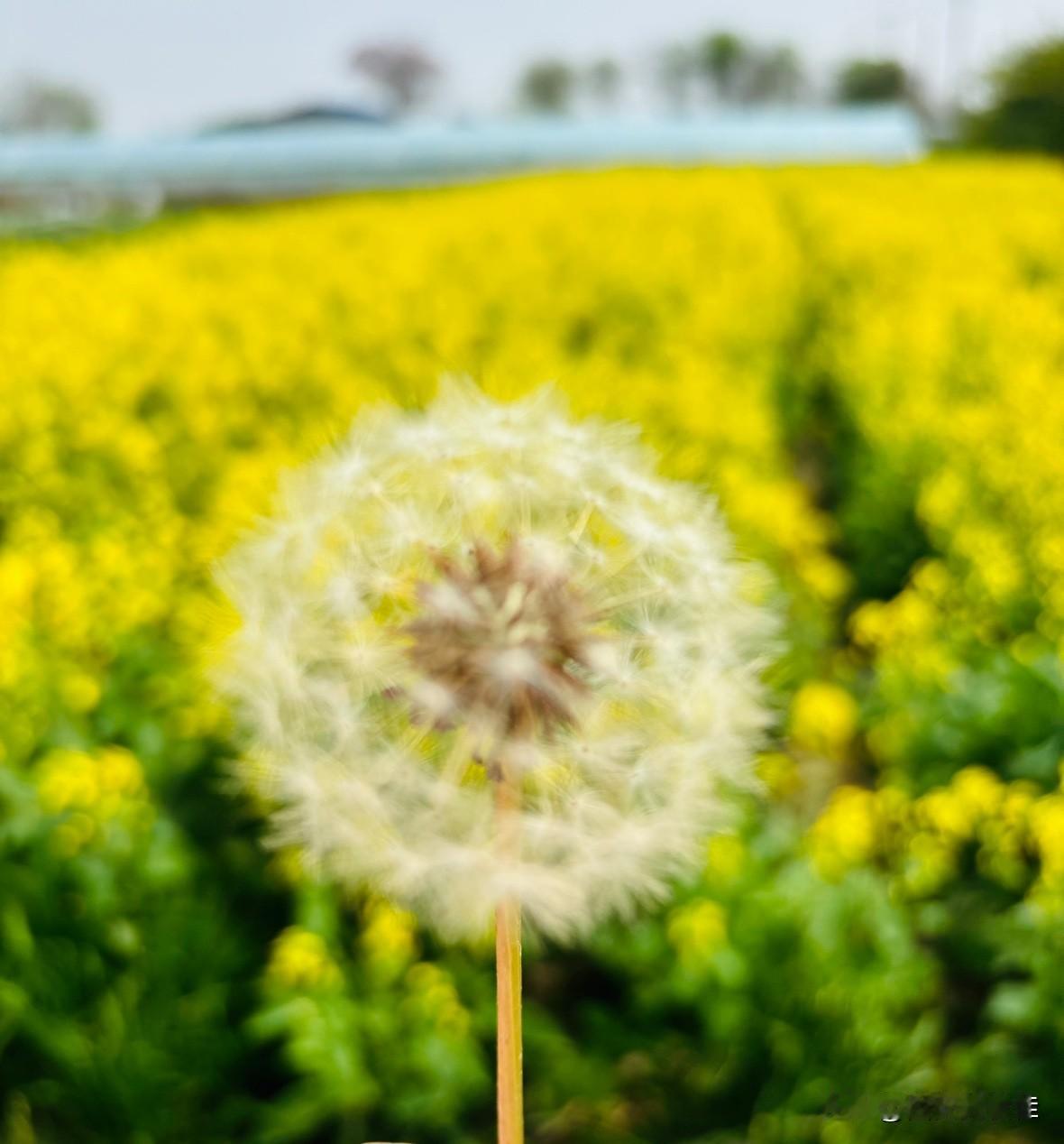 大家身边有没有这样的人！
     不知道大家有没有观察到咱们单位里一种很特别的