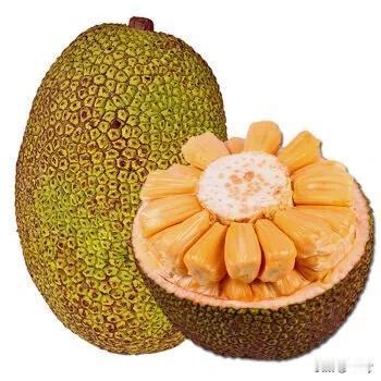 说起菠萝蜜真是让很多人头疼，却也让很多人深爱的食物，小编属于可以吃但是不喜欢多吃