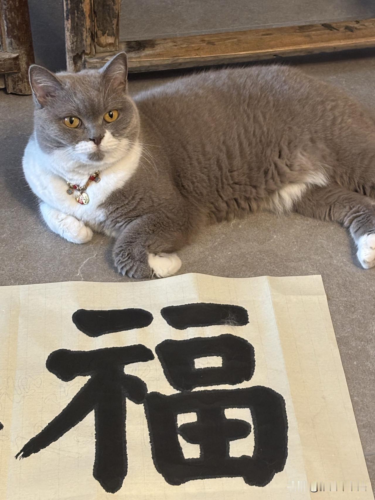 中伏守福