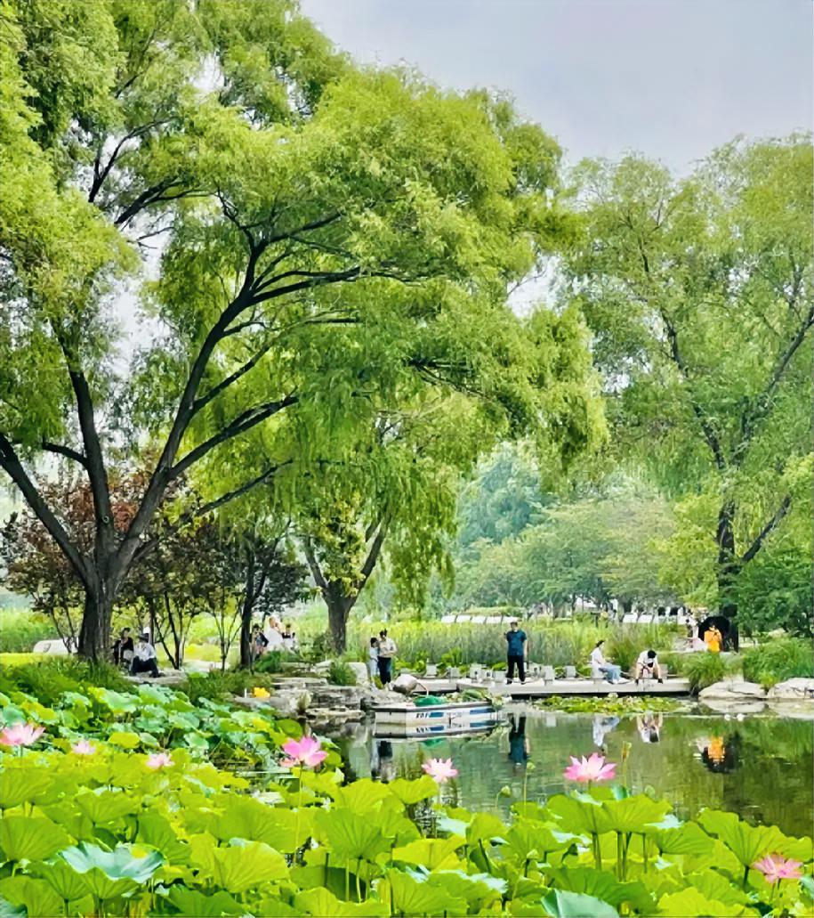 现在社会，说白了就五条路可走。

第一条，老老实实上班。
这条路最简单，最省力，