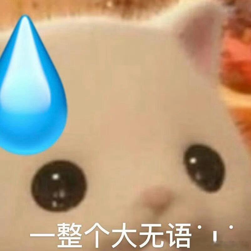 觉得阳丝们一起凑💰好不容易努力做的花墙丑的今年进群多花点钱多出点意见别本着想讨