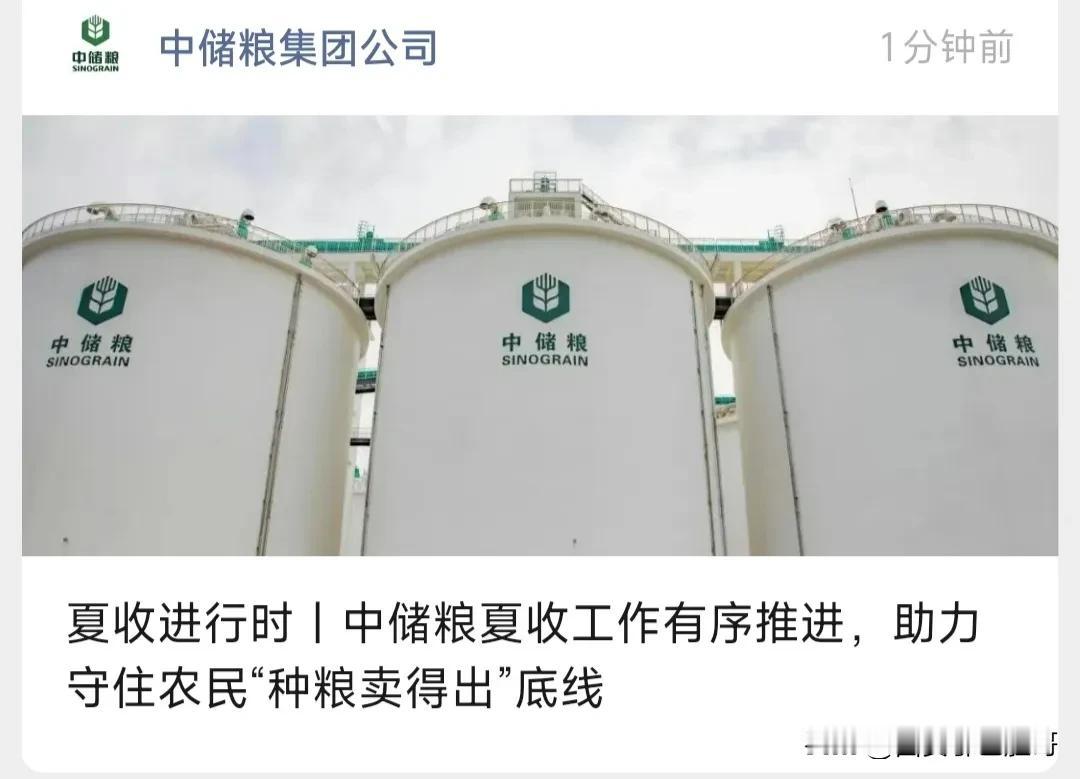中储粮集团公司这句“话”你怎么理解？