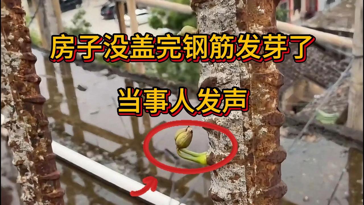 解释不清了！钢筋丛里长出嫩芽，连《走近科学》都犯难！

广东揭阳一栋未完工的自建