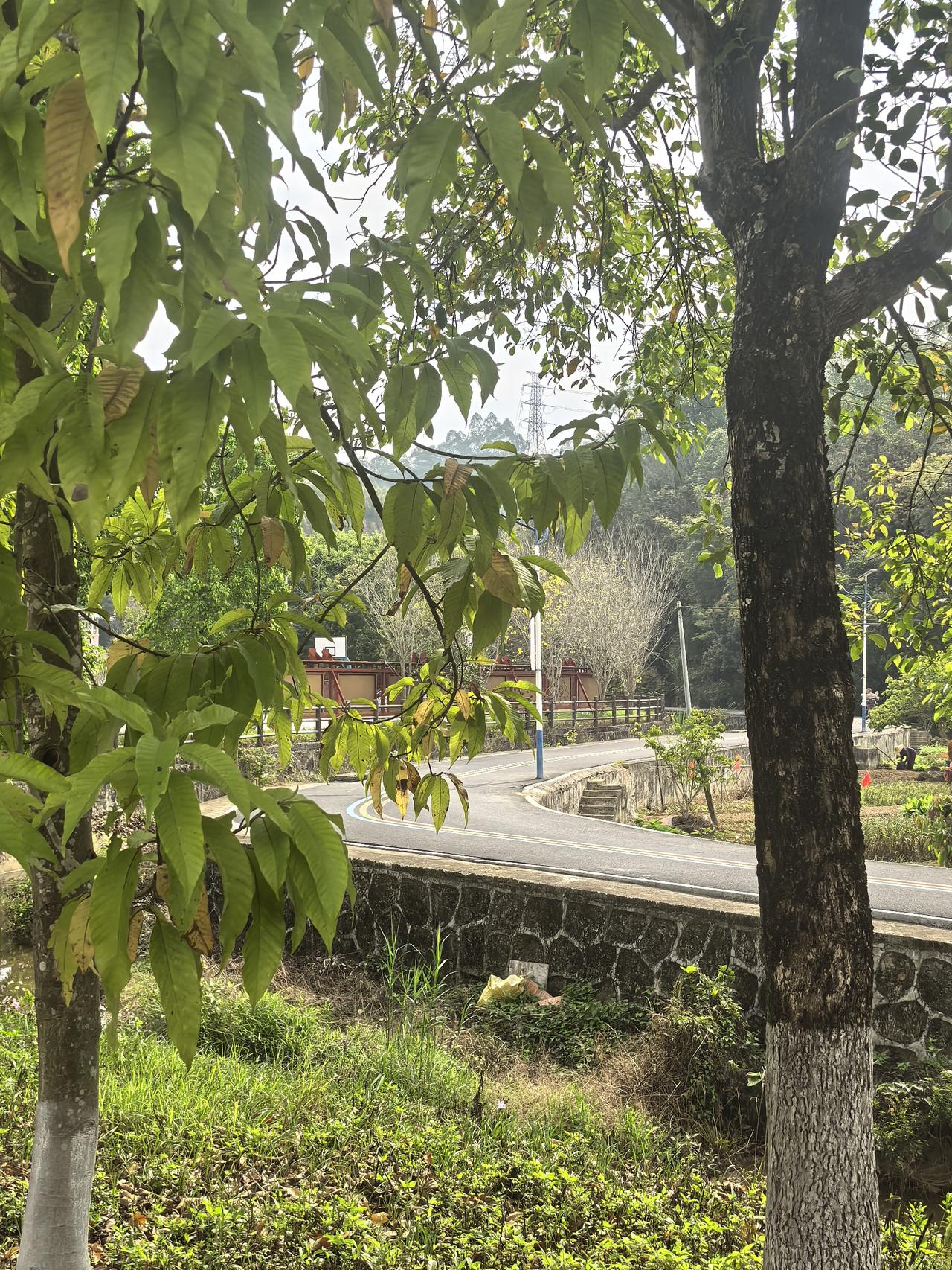 自从有了抖音，感觉学东西确实是方便多了，不想花钱，你就可以到处搜课，总是能找到你