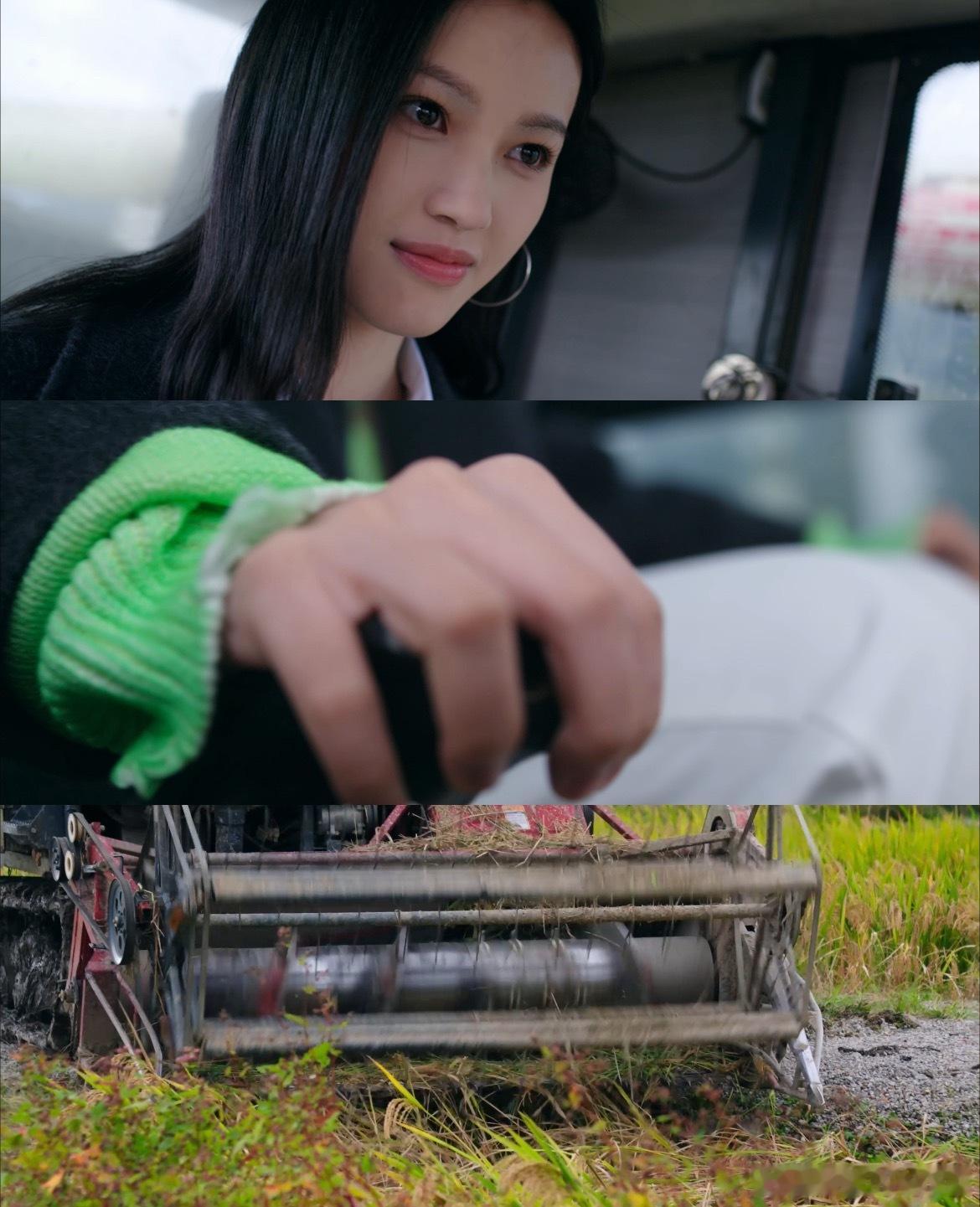 别人复仇开车她开收割机前一秒是美飒画廊经理，后一秒开收割机复仇！沈羽洁为让耍了自