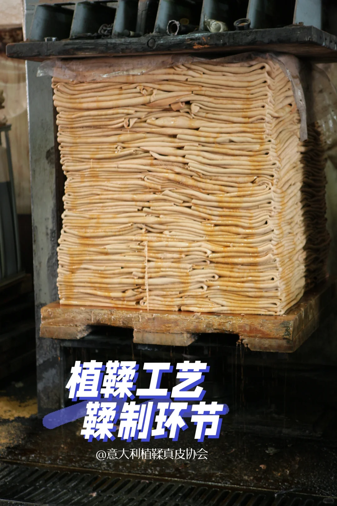 托斯卡纳植鞣工艺｜鞣制环节[二R]