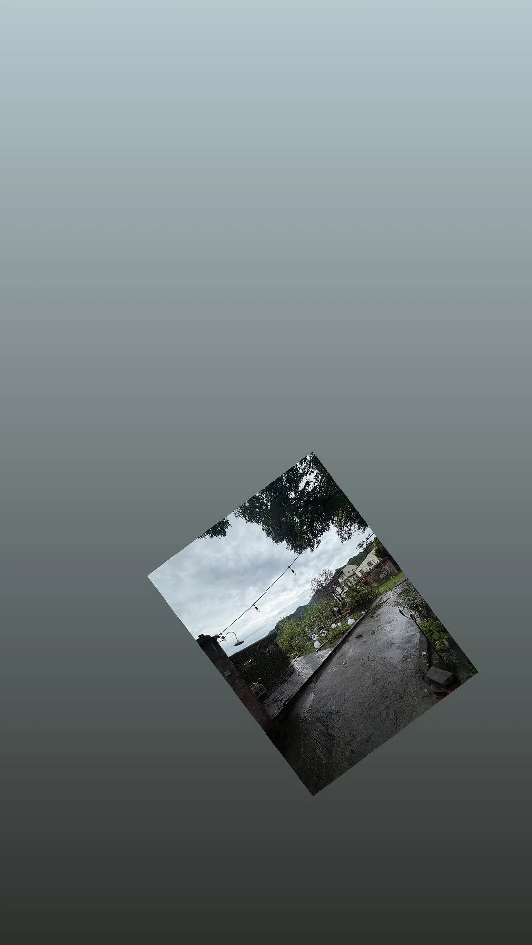 利特今日分享～