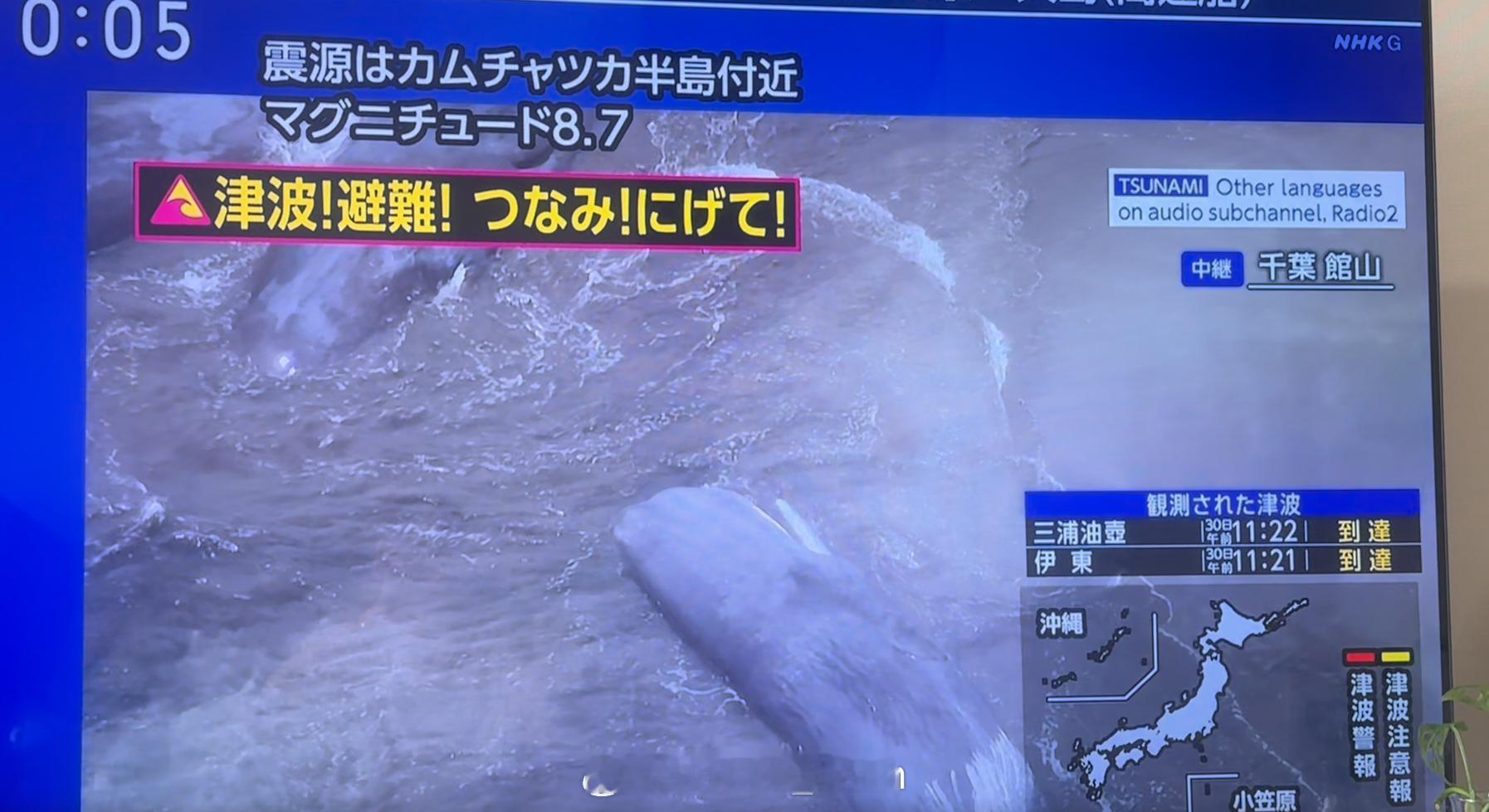 日本海啸 啊？真的来啦？这么突然吗？ 如果这段时间有计划去日本的话，还是延迟一下